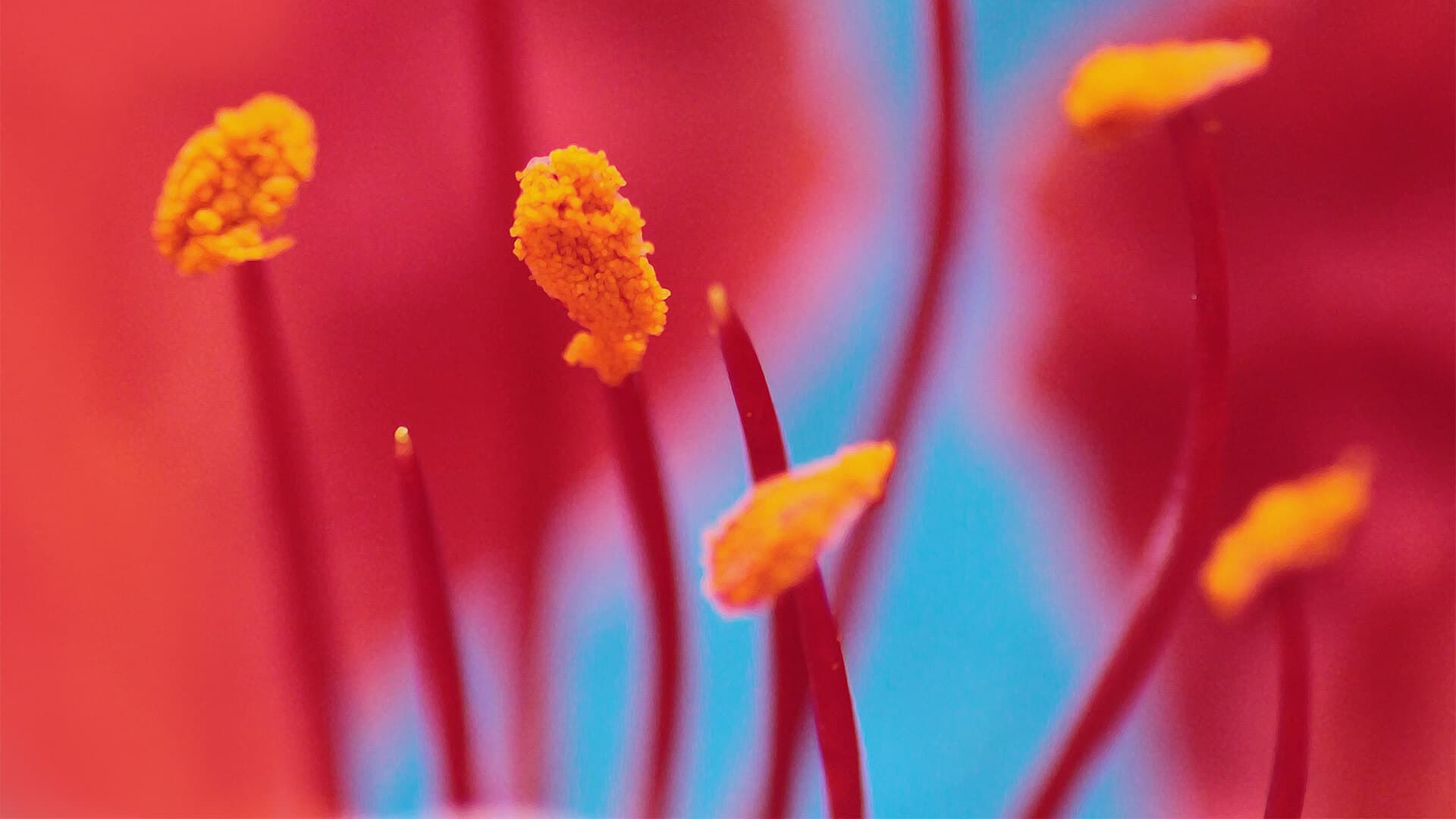 Ball Horticultural Company